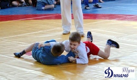 В спорткомплексе Металлург города Тулы прошел Всероссийский юношеский турнир по борьбе самбо.