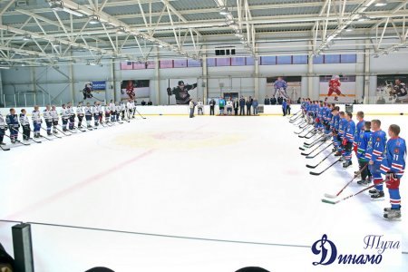 В Туле состоялся товарищеская хоккейная встреча между командами "Динамо" и 106-й гвардейской водушно-десантной дивизии, посвящённая "Дню Победы".
