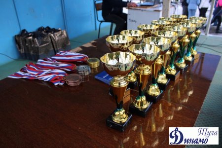 В городе Ясногорске при поддержке Тульской областной организации «Динамо» прошли соревнования по лыжному спринту