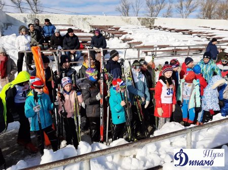 В городе Ясногорске при поддержке Тульской областной организации «Динамо» прошли соревнования по лыжному спринту